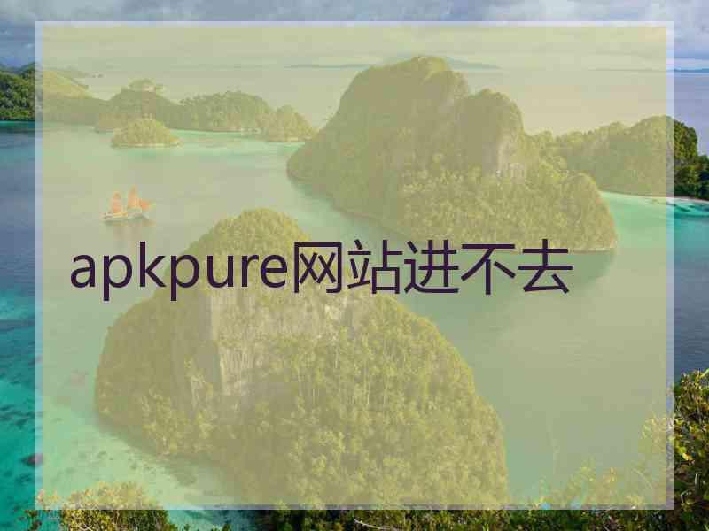 apkpure网站进不去