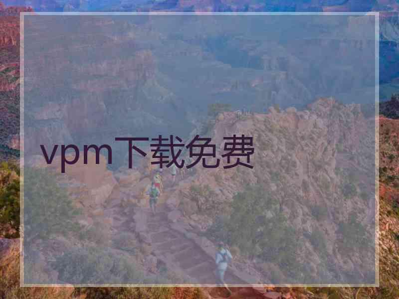 vpm下载免费