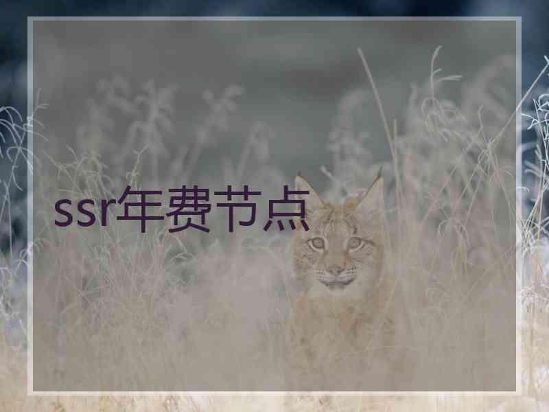 ssr年费节点