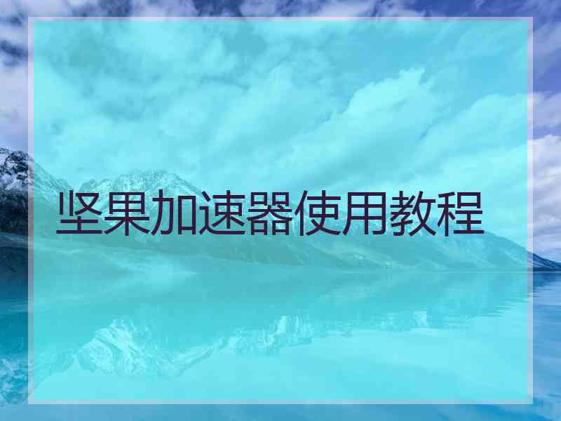 坚果加速器使用教程