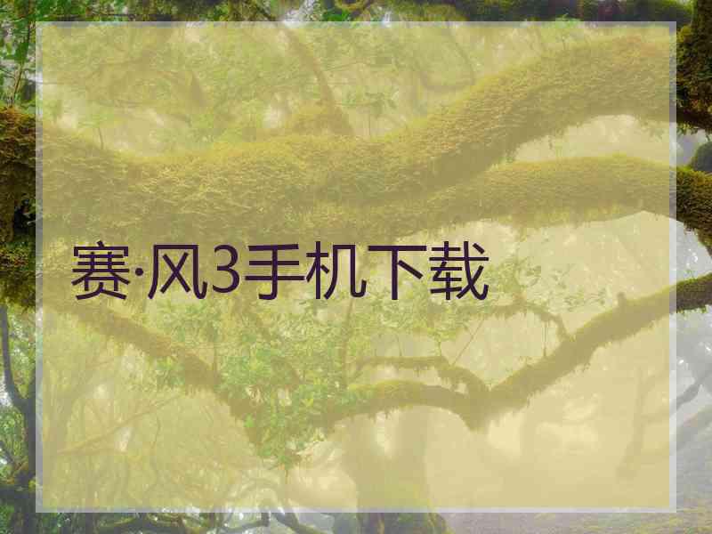 赛·风3手机下载