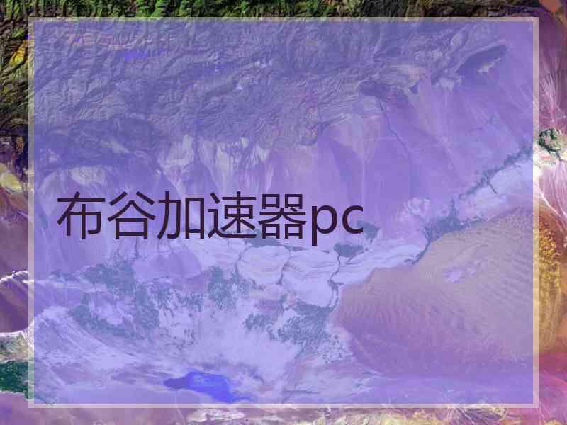 布谷加速器pc