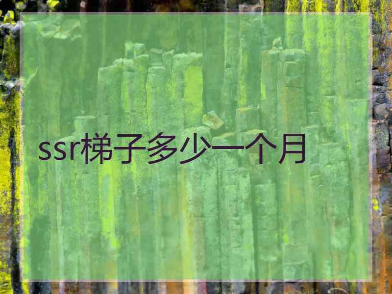 ssr梯子多少一个月