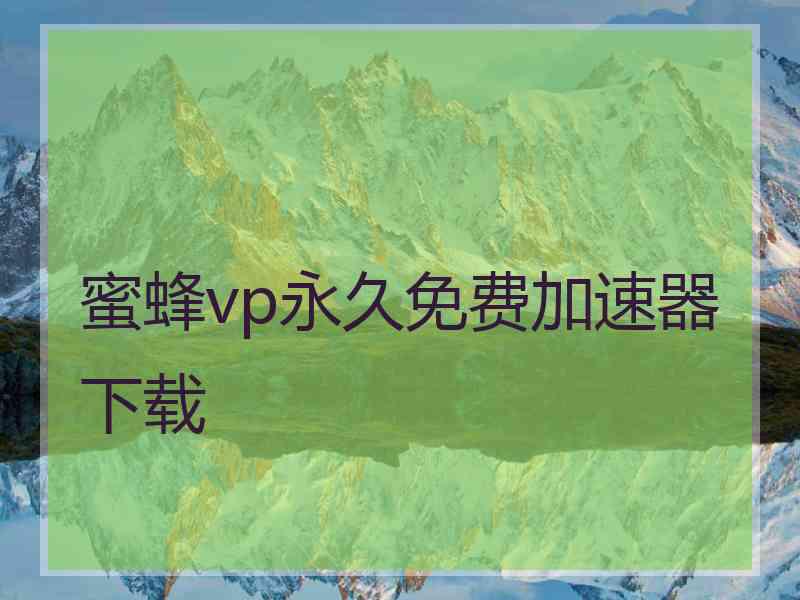 蜜蜂vp永久免费加速器下载