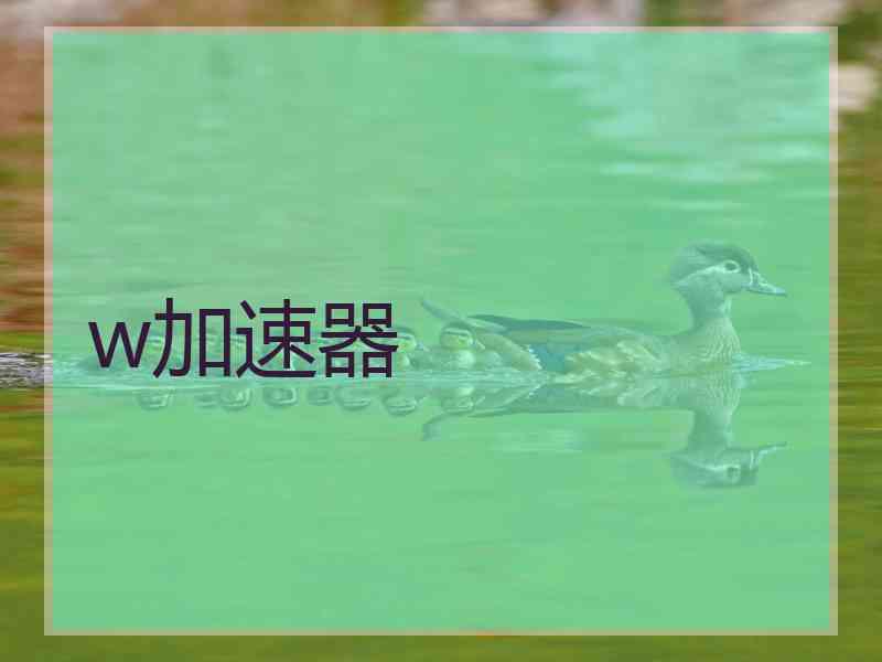 w加速器