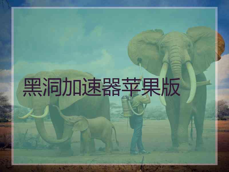 黑洞加速器苹果版