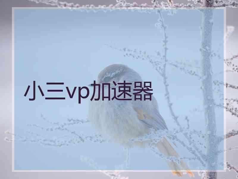 小三vp加速器