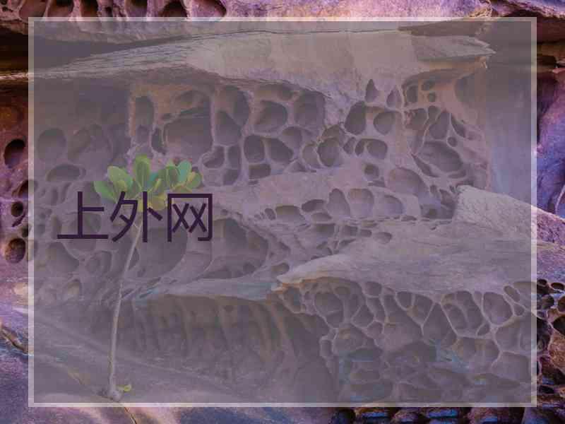 上外网
