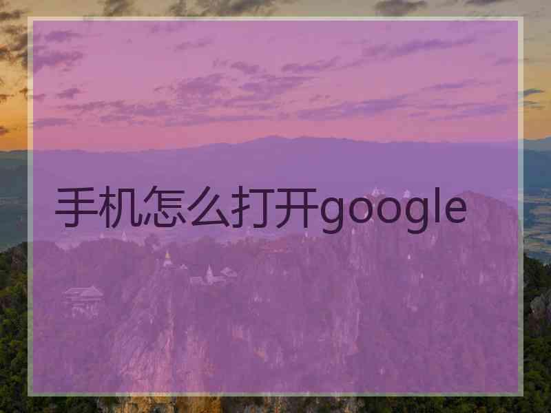 手机怎么打开google