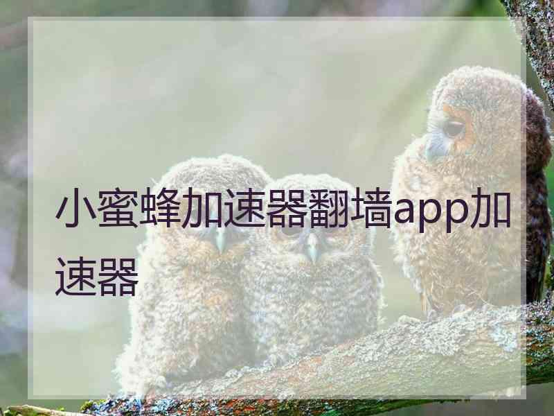 小蜜蜂加速器翻墙app加速器