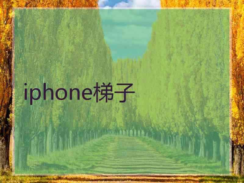 iphone梯子