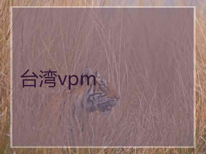 台湾vpm