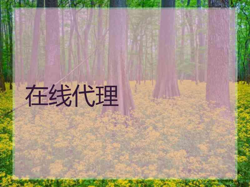 在线代理