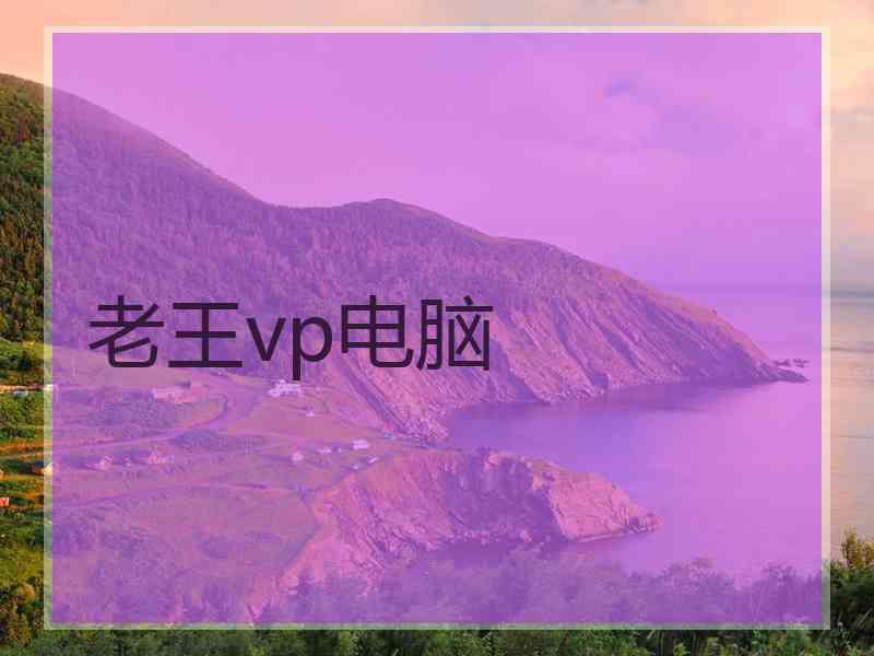 老王vp电脑