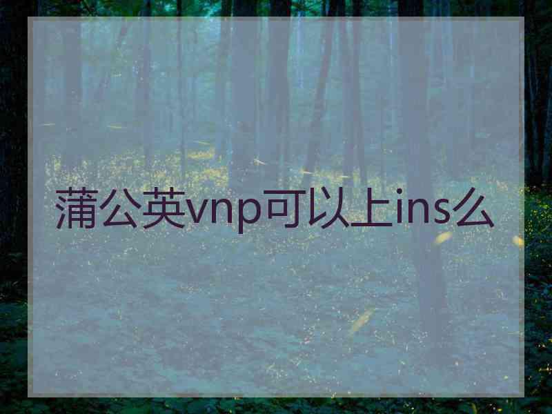 蒲公英vnp可以上ins么
