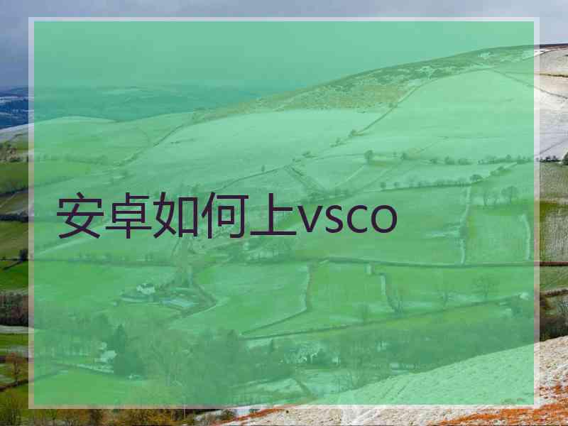 安卓如何上vsco