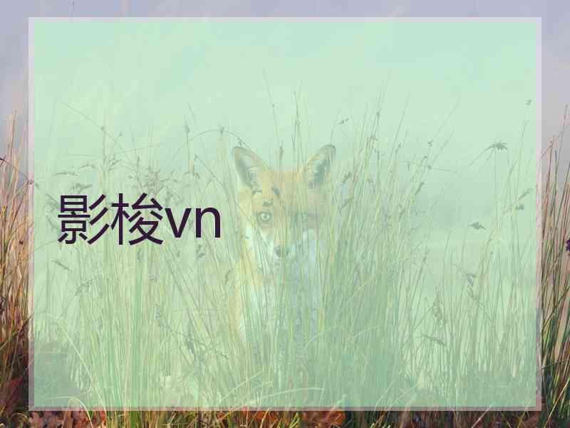 影梭vn