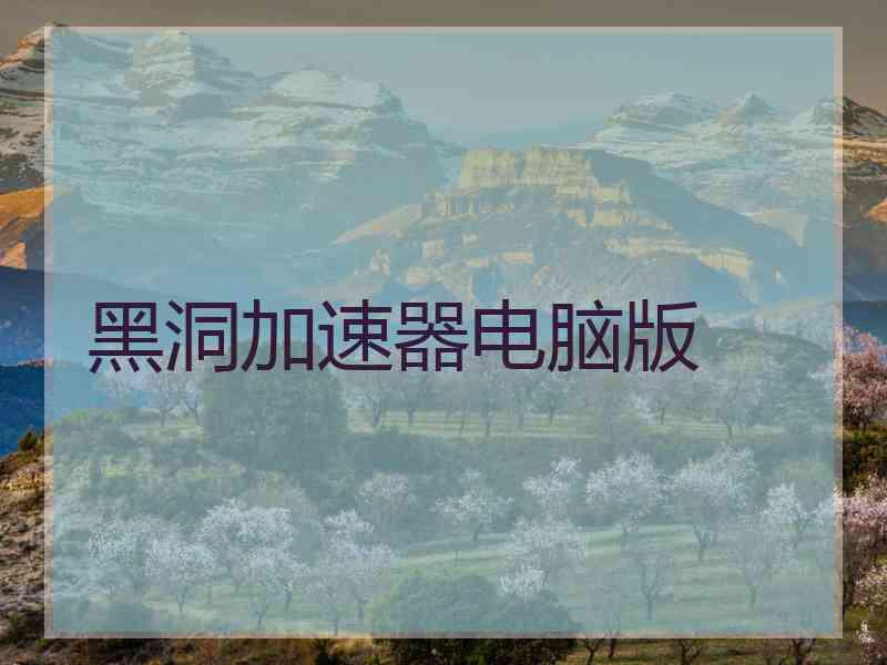黑洞加速器电脑版
