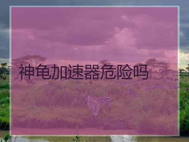 神龟加速器危险吗