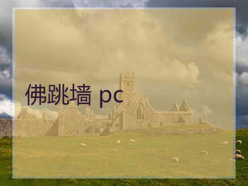 佛跳墙 pc