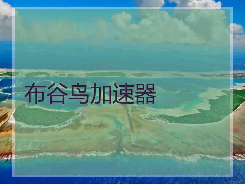 布谷鸟加速器