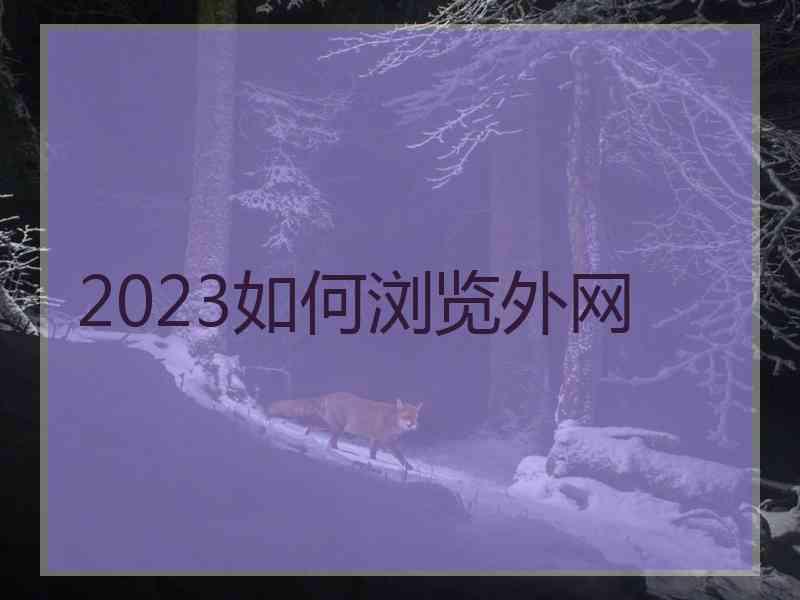 2023如何浏览外网