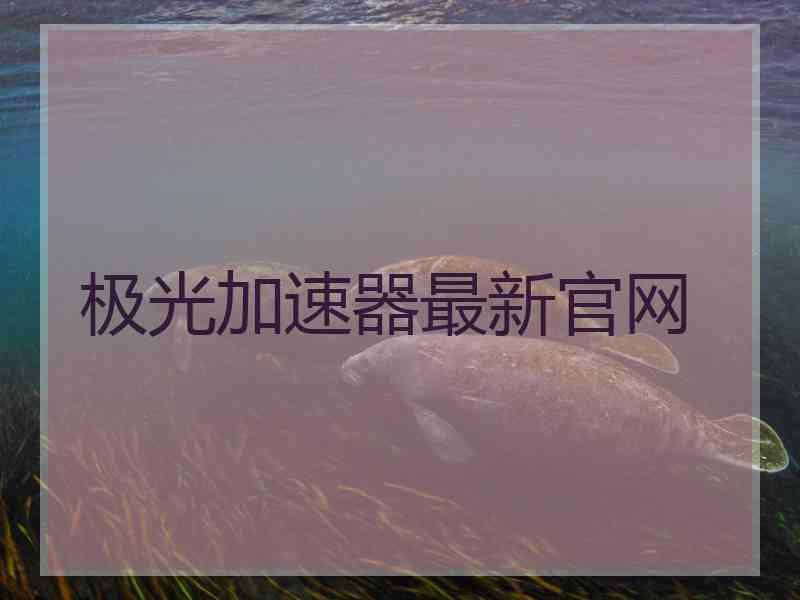 极光加速器最新官网