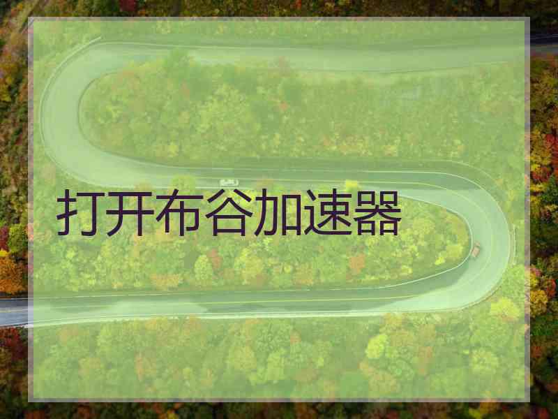 打开布谷加速器