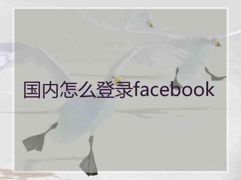 国内怎么登录facebook