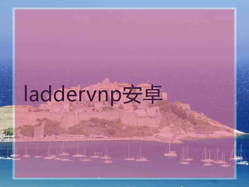 laddervnp安卓