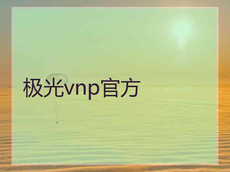 极光vnp官方