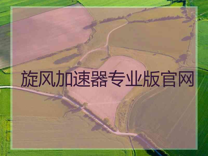 旋风加速器专业版官网