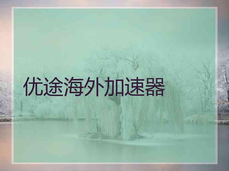 优途海外加速器