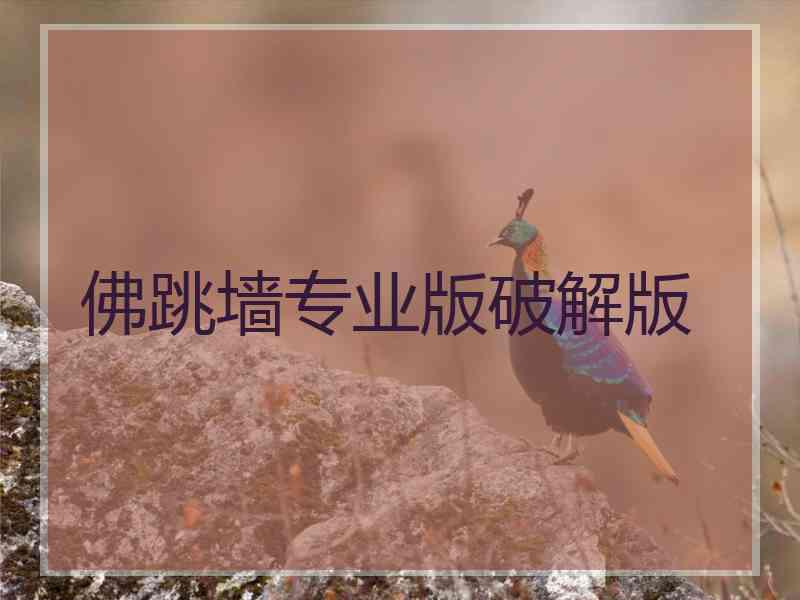 佛跳墙专业版破解版