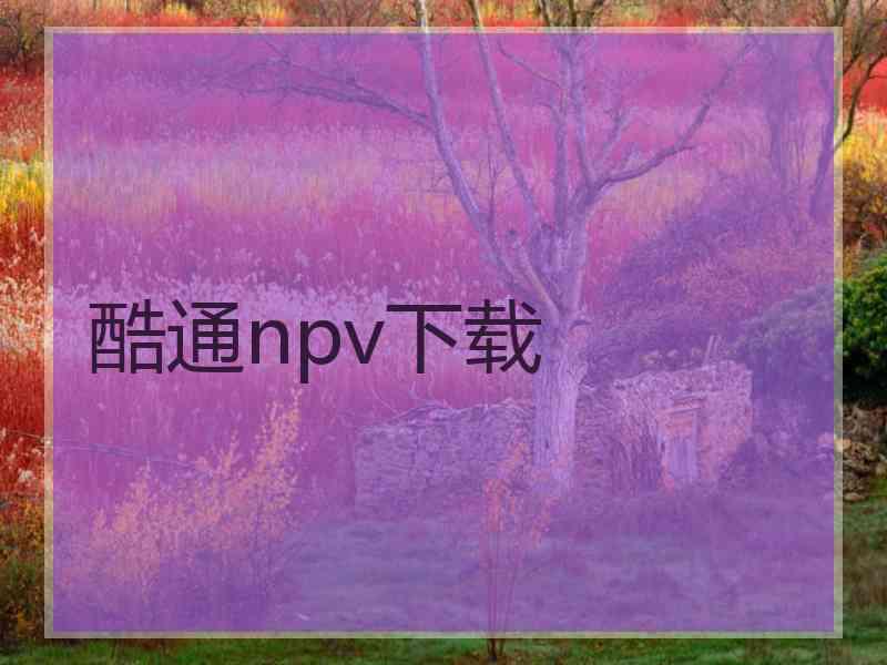 酷通npv下载