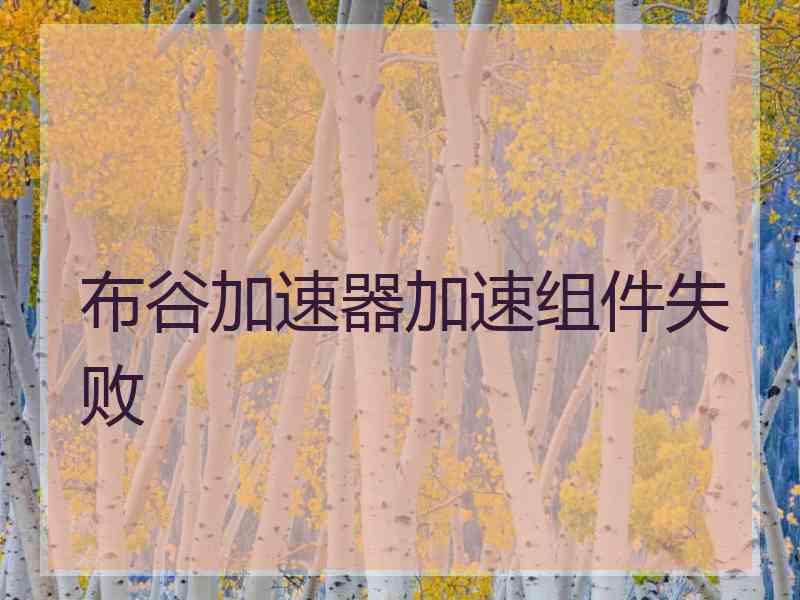 布谷加速器加速组件失败