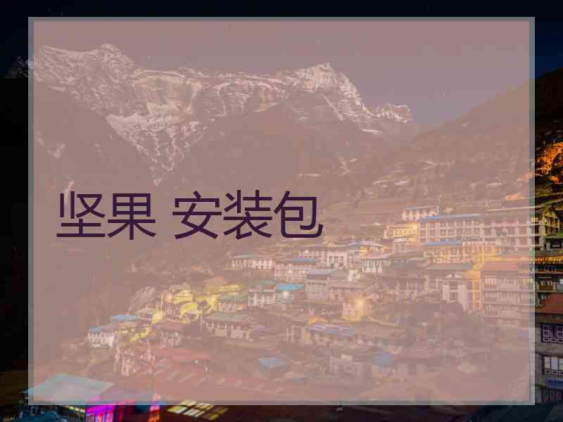 坚果 安装包