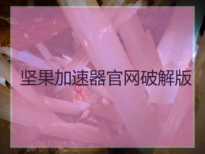 坚果加速器官网破解版