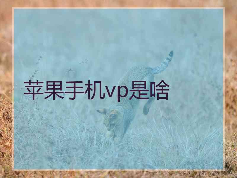 苹果手机vp是啥