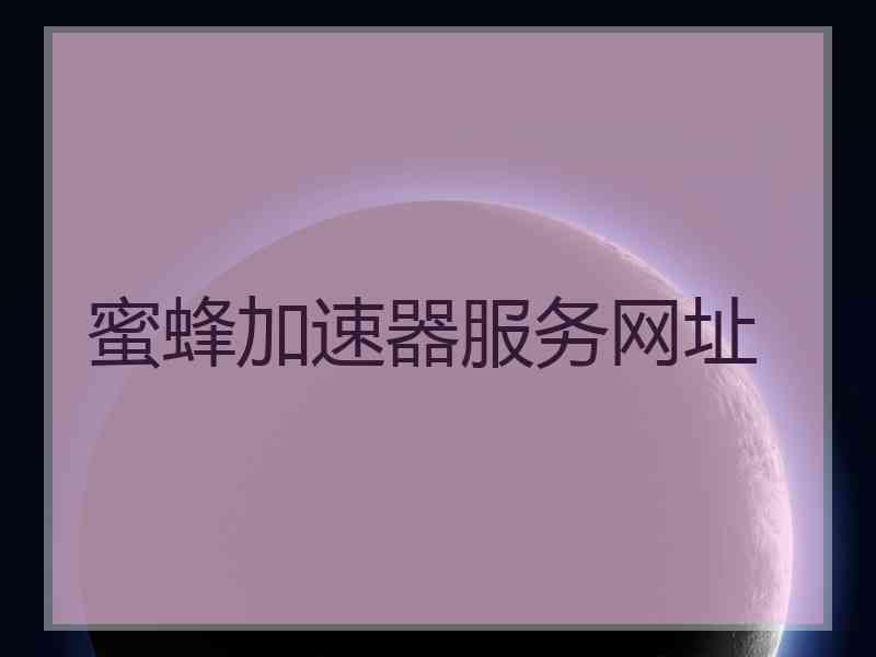 蜜蜂加速器服务网址