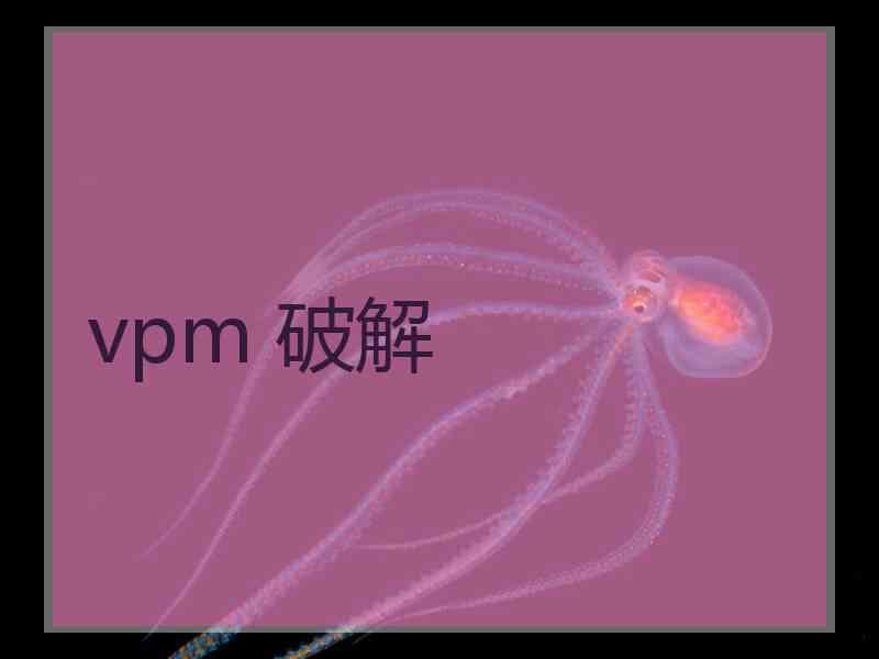 vpm 破解
