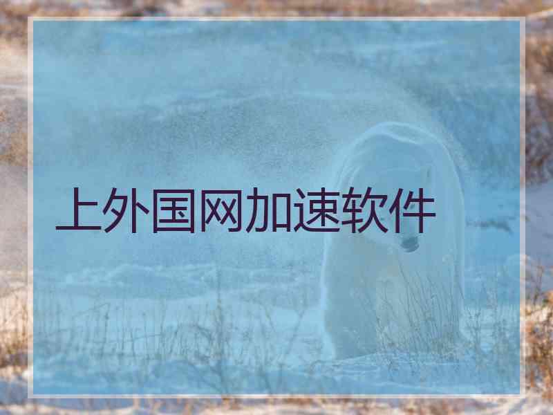 上外国网加速软件