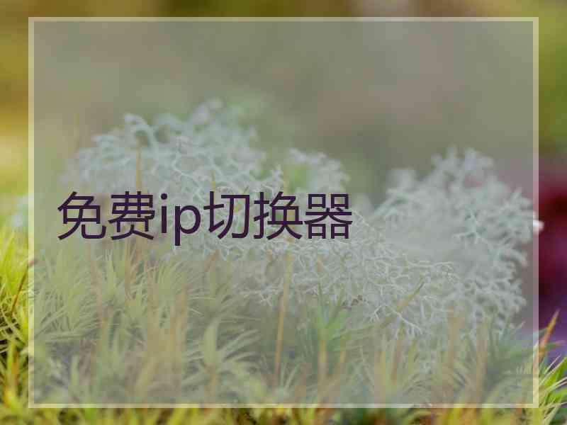 免费ip切换器