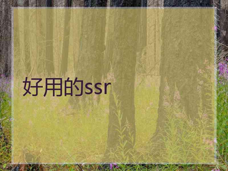 好用的ssr