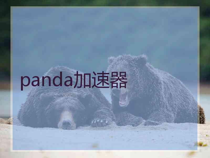 panda加速器