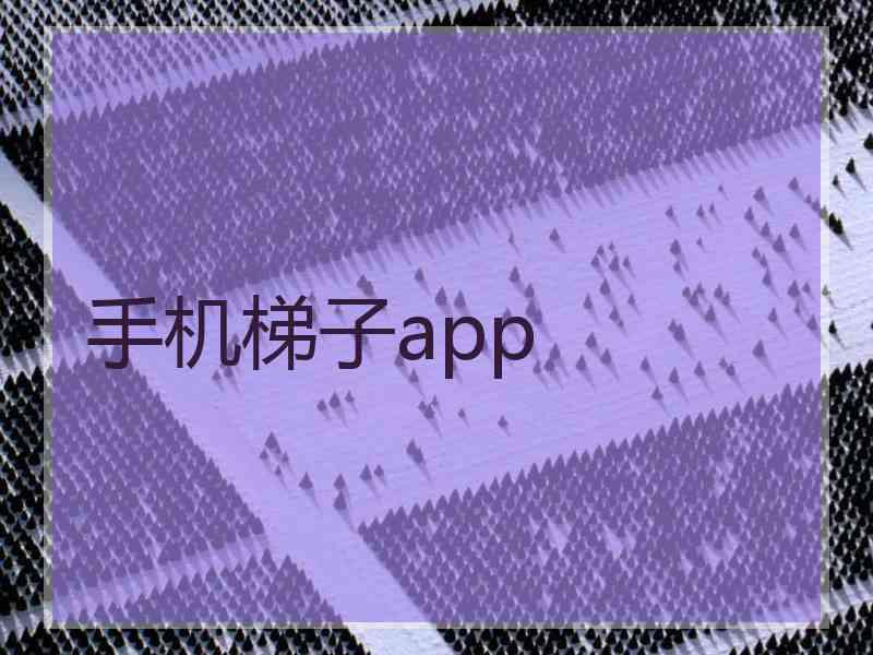 手机梯子app