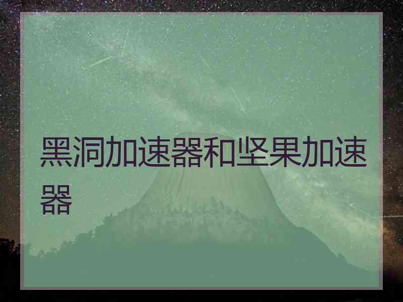 黑洞加速器和坚果加速器