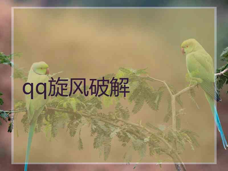 qq旋风破解