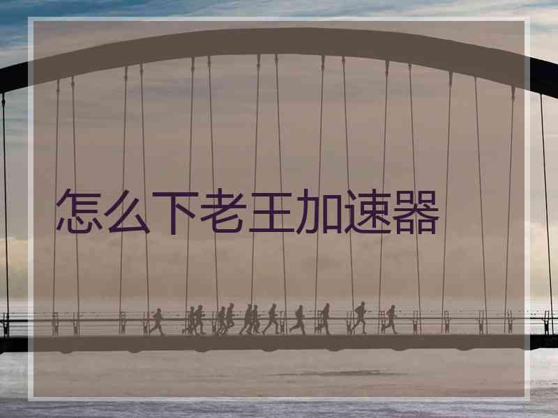 怎么下老王加速器