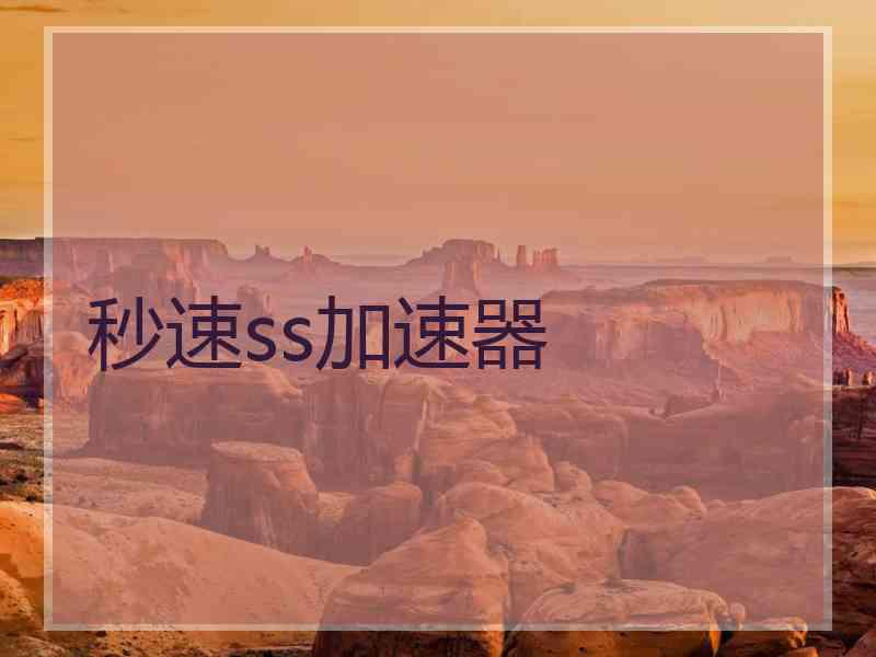 秒速ss加速器